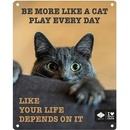 EBI D&D kovová tabulka: ,,Be more like a cat play every day\" 20 x 25 cm