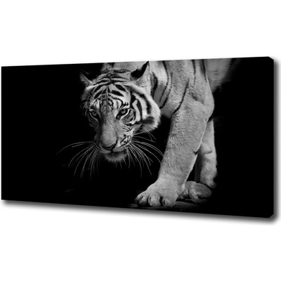 Foto obraz na plátne Tiger 100x50 cm