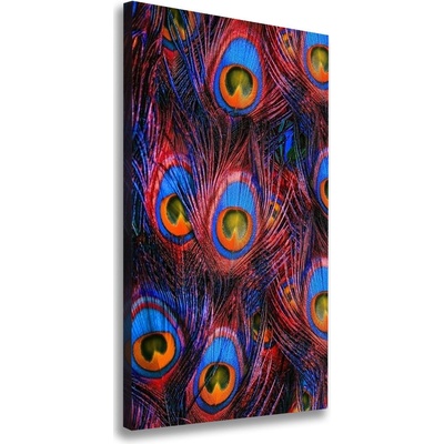 Vertikálny foto obraz na plátne do obývačky Pávie perá 50x100 cm