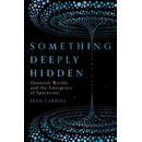 Something Deeply Hidden - Sean Carroll