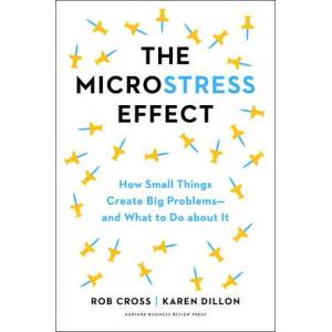 Microstress Effect | Karen Dillon (ISBN: 9781647823979)