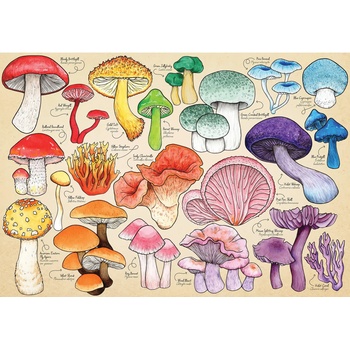 The House of Puzzles - Puzzle Mushroom Mania - 1 000 piese