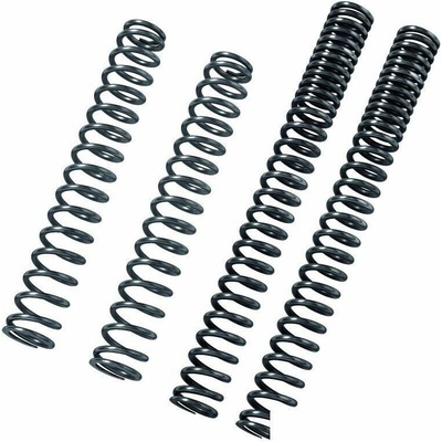 BITUBO Fork springs kit BITUBO K=0.75 (+1 Lt. Oil)