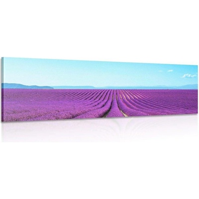 Obraz nekonečné levandulové pole - 150x50
