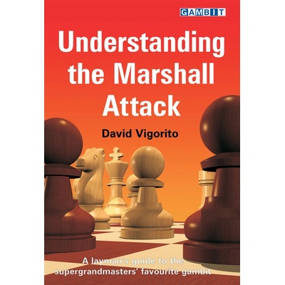 Understanding the Marshall Attack Vigorito DavidPaperback