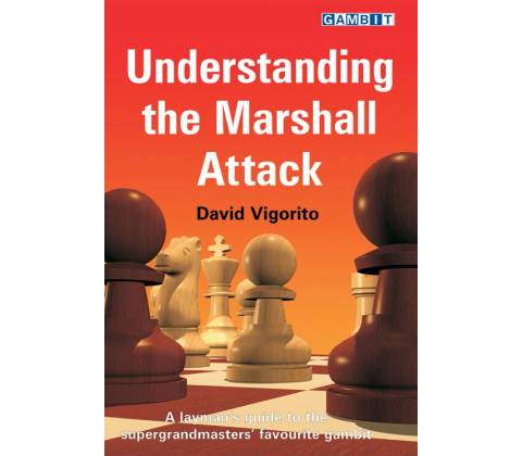 Understanding the Marshall Attack Vigorito DavidPaperback
