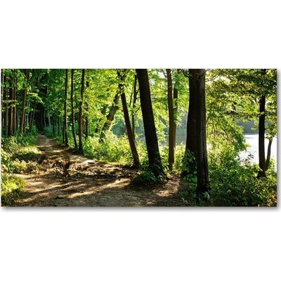 Fotoobraz na skle Chodník na lúke 100x50 cm