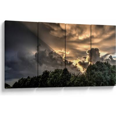 Obraz mračen a lesa, Čtyřdílný 160x80 cm