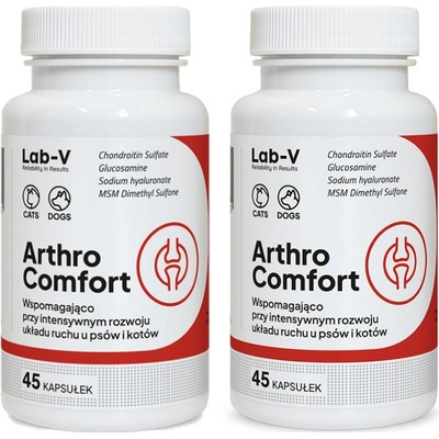 LAB-V Arthro Comfort Komplexní podpora zdraví kloubů a pohybového aparátu pro psy a kočky 2 x 45 kapslí