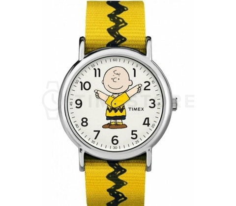 Timex TW2R411006B