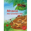 Mravce