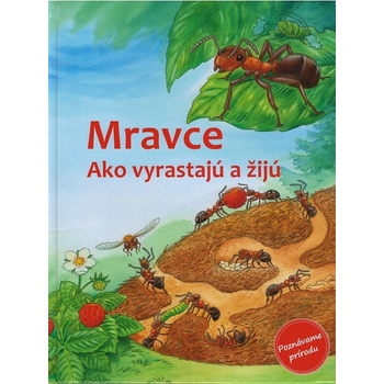 Mravce