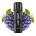 Lost Mary Pod Tappo Pro Grape 2ml/20 mg