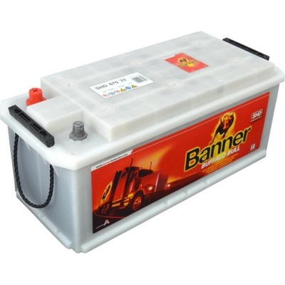 Banner Buffalo Bull SHD 12V 170Ah 1000A SHD67033