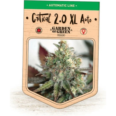 Garden Of Green Seedbank Critical 2.0 XL AUTO semena neobsahují THC 3 ks