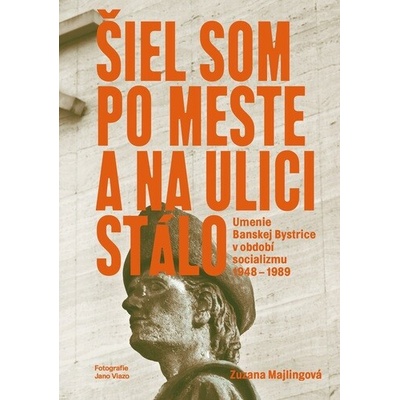 Šiel som po mesta a na ulici stálo - Zuzana Majlingová