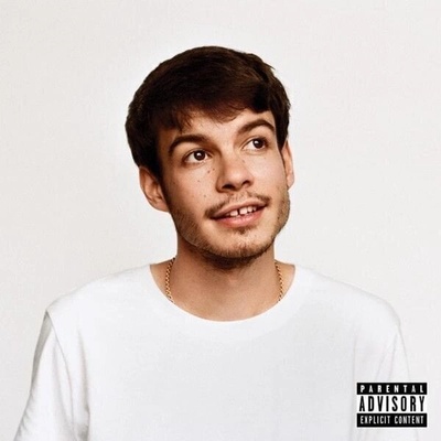 Rex Orange County - Pony (LP) (0190759866610)