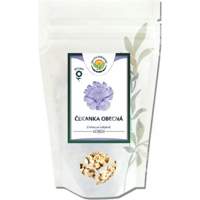 Čekanka obecná - Cichorium inthybus - celý kořen - 100 g