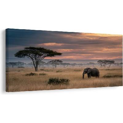 Obraz slon na savaně při západu - 120x60