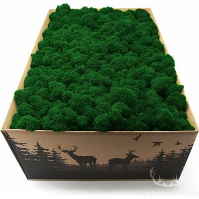 Lišajník mach vyčistený stredne zelený 4kg FIN