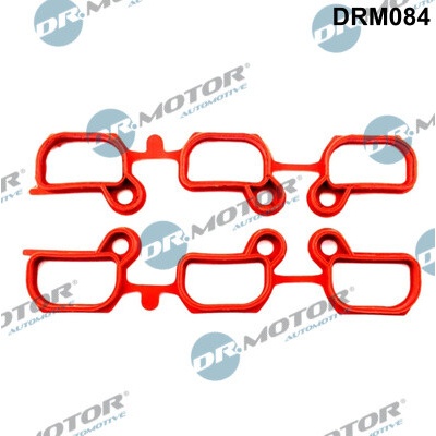 DR.MOTOR AUTOMOTIVE Sada tesnení kolena nasávacieho potrubia DRM084