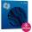 iZotope Ozone 12 Standard: UPD from any prev. Ozone Std. (Дигитален продукт)