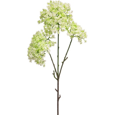Fantasia Star flower bilá V76 cm