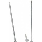METALURGIA Standard galvanized nails 2.8*65mm op-5kg