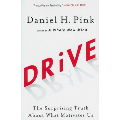 Drive: The Surprising Truth About What Motivates Us