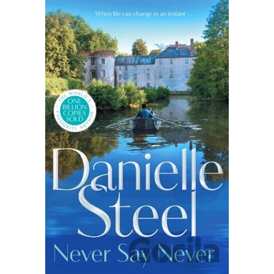 Never Say Never - Danielle Steel