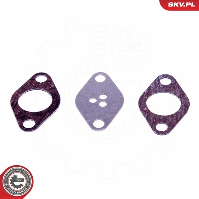 Súprava na opravu, ventil AGR ESEN SKV 14SKV525 14SKV525