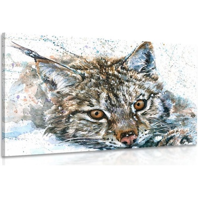 Obraz rys v akvarelovém provedení - 60x40