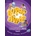 Super Minds Level 6 Presentation Plus DVD-Rom