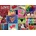 Bluebird Puzzle - Puzzle Collage - Love in Color - 1 000 piese