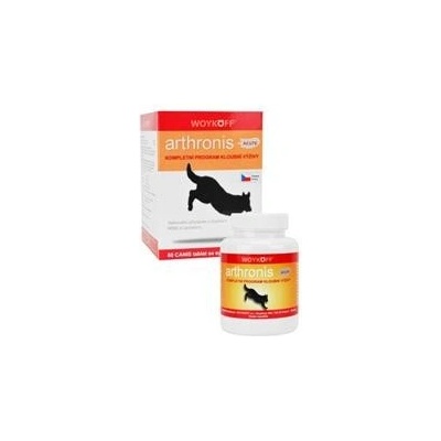 Arthronis Acute 5 x 60 tbl