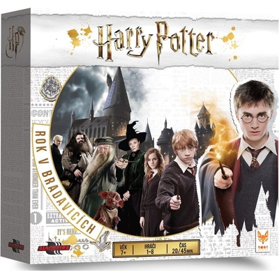 Harry Potter: Rok v Bradavicích