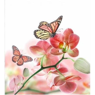 DIMEX ART Флизелинов фототапет пеперуди и орхидеи 225 x 250 см