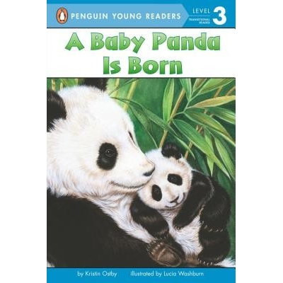 A Baby Panda Is Born