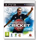 International Cricket 2010