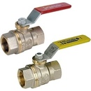 GIACOMINI R950
