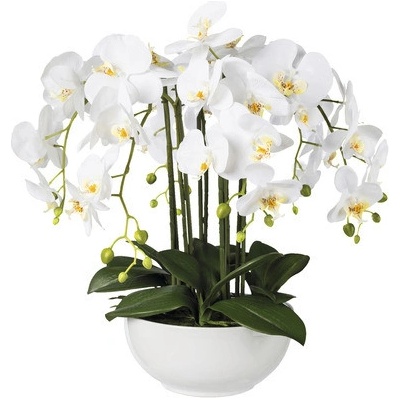 Umelá orchidea phalaenopsis 54 cm biela v keramickej miske Real Touch