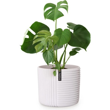 Image 1 of Blumfeldt Hasselt PP-MUTI-L-MW