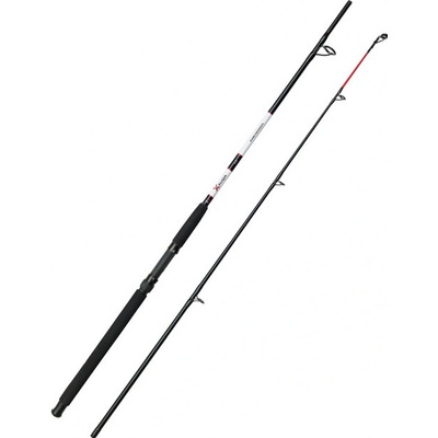 DAM Aqua-X Boat 1,8 m 100-250 g 2 díly