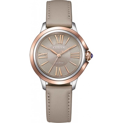 Citizen EM1166-01Z
