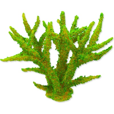 Aqua Excellent Mořský korál měkký zelený 16x12,5x13,5 cm