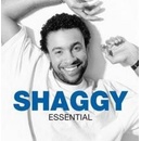 STEWART AL: ESSENTIAL CD