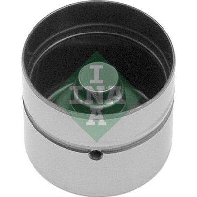 Schaeffler INA Zdvihátko ventilu INA (IN 420007410) - RENAULT