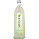JELZIN SAURER APFEL 16,6% 0,5 l (holá láhev)