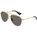 Dolce&Gabbana DG2302 02/R5