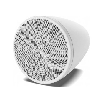 Bose DesignMax DM3P